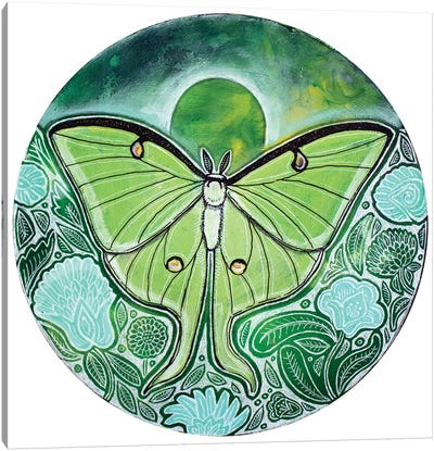 Bella Luna Canvas Art Print - Butterfly Art