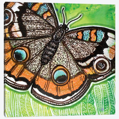 Common Buckeye Canvas Print #LSH553} by Lynnette Shelley Art Print