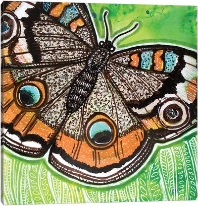 Common Buckeye Canvas Art Print - Lynnette Shelley