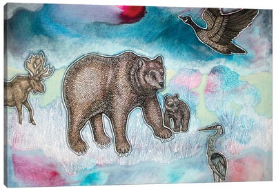 Under A Northern Sky Canvas Art Print - Brown Bear Art