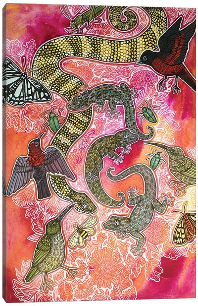 Animalia Canvas Art Print - Snake Art