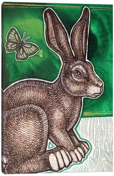 Rabbit In The Field Canvas Art Print - Lynnette Shelley