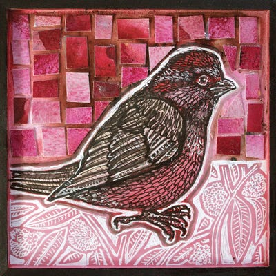 Pink Sky Rosefinch by Lynnette Shelley metal wall art