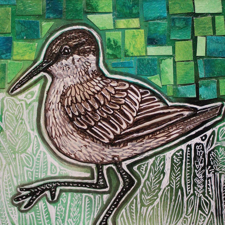 Sandpiper II by Lynnette Shelley wall art