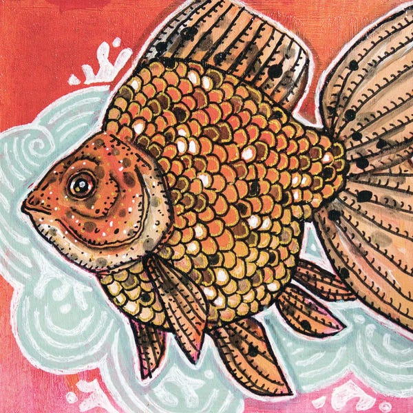 Calico Ryukin