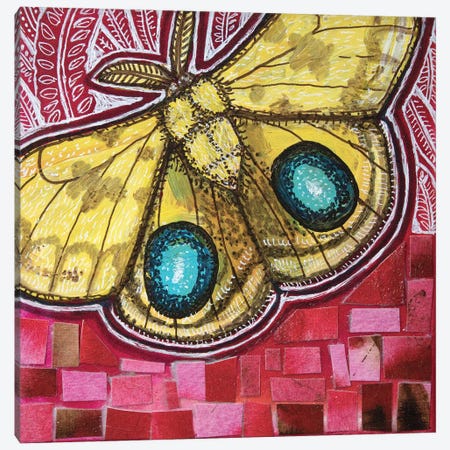Io Moth Canvas Print #LSH581} by Lynnette Shelley Canvas Artwork