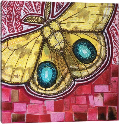 Io Moth Canvas Art Print - Lynnette Shelley
