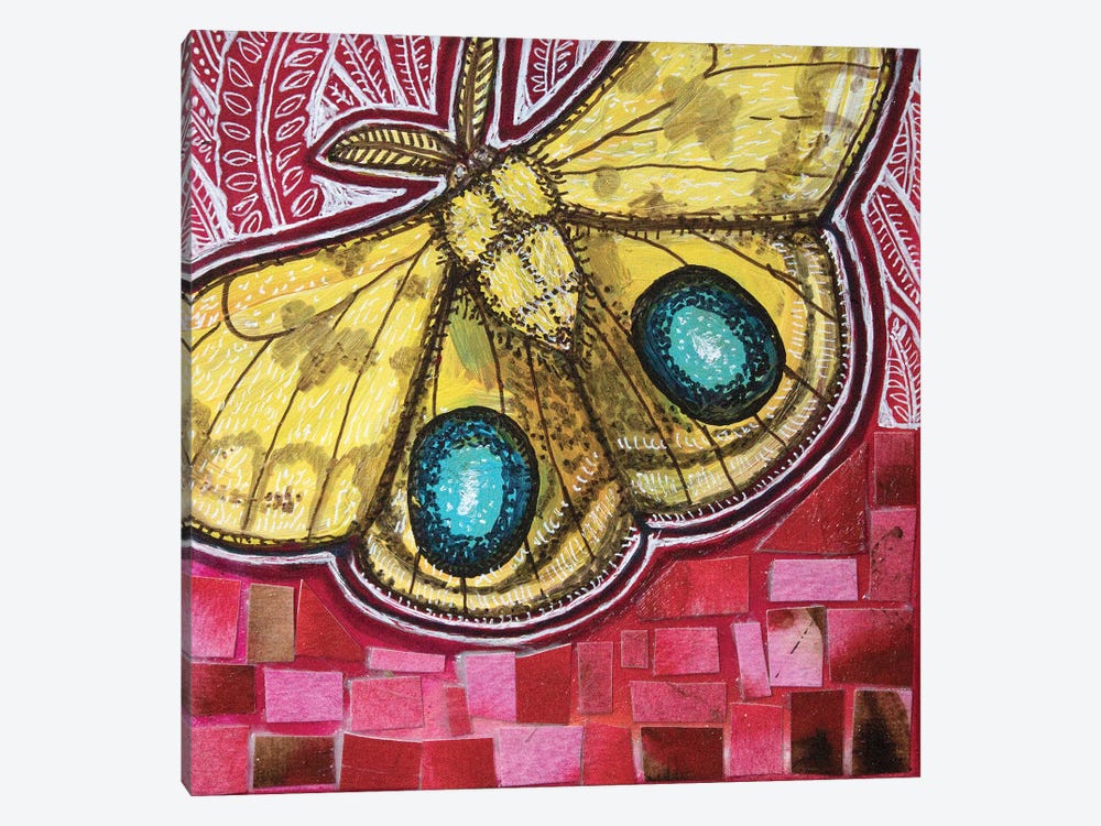 Io Moth by Lynnette Shelley 1-piece Canvas Art