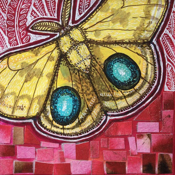 Moths: Io Moth by Lynnette Shelley