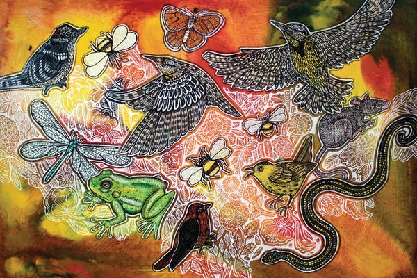 Dragonflies: The Birds And The Bees by Lynnette Shelley