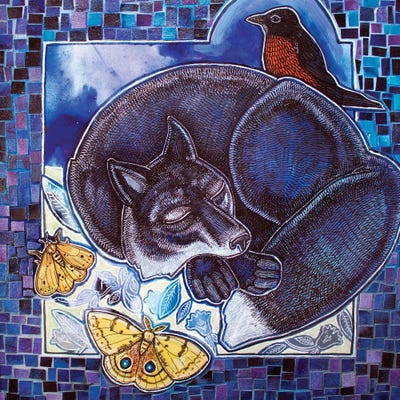 Dreaming Fox by Lynnette Shelley framed canvas print