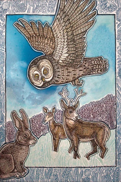 Over Field And Forest by Lynnette Shelley framed canvas print