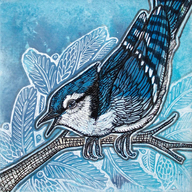 Scolding Jay by Lynnette Shelley wall art