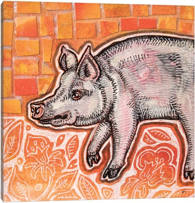 Painted Pig Canvas Art Print - Lynnette Shelley