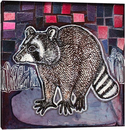 Bright-Eyed And Bushy-Tailed Canvas Art Print - Raccoon Art
