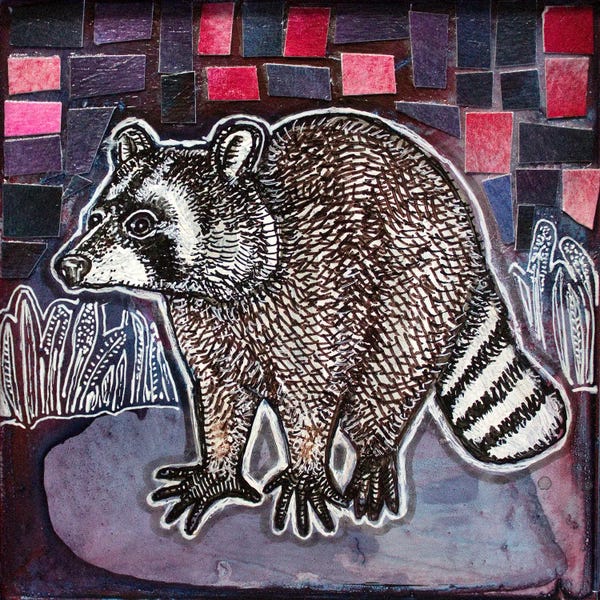Raccoons: Bright-Eyed And Bushy-Tailed by Lynnette Shelley