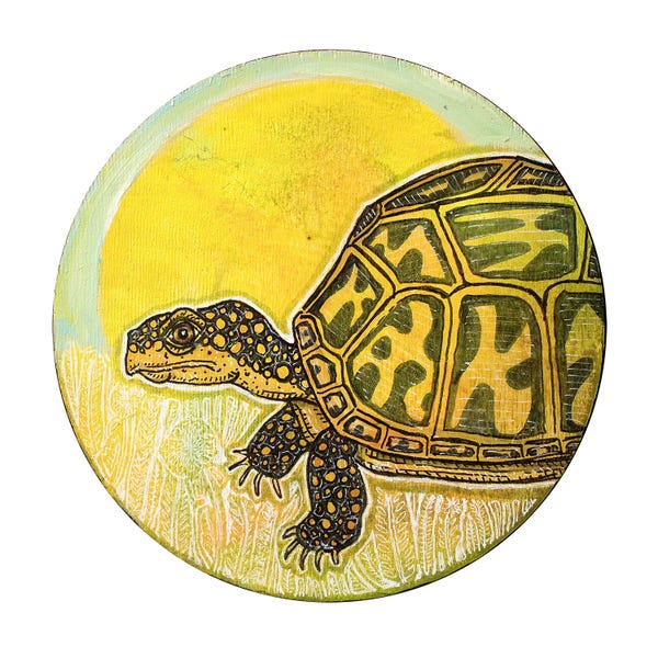 Turtles: Morning Stroll by Lynnette Shelley