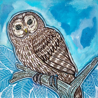 Blue Sky Owl by Lynnette Shelley framed canvas print
