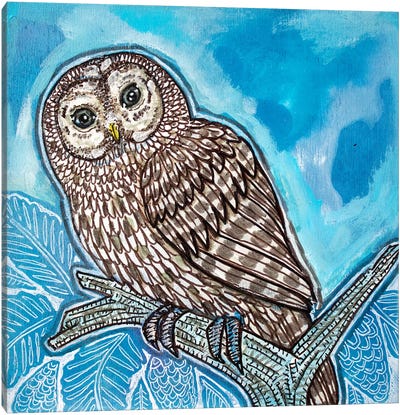 Blue Sky Owl Canvas Art Print - Lynnette Shelley