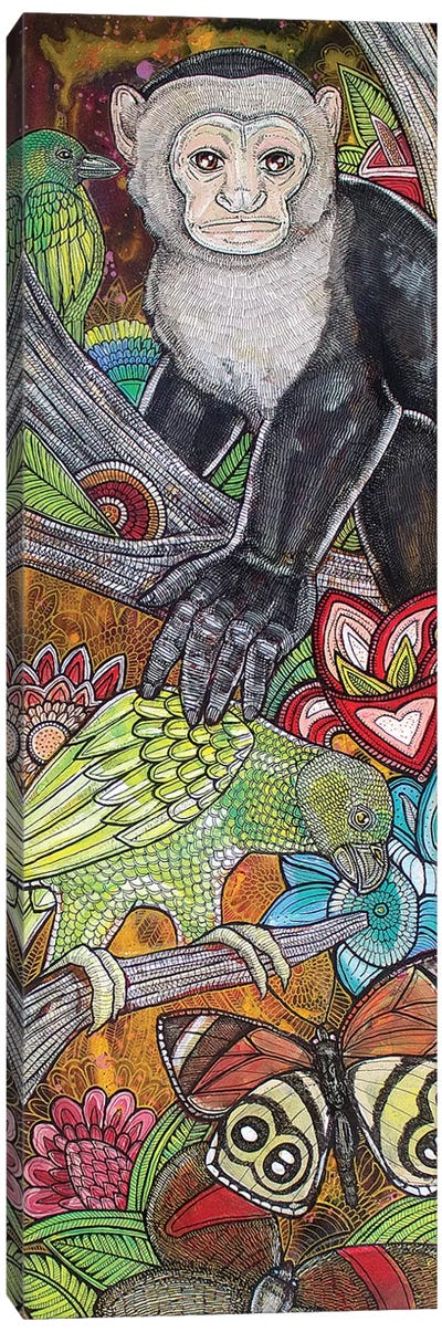 Amazonia Canvas Art Print - Lynnette Shelley