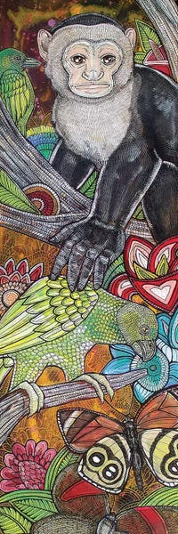 Primates: Amazonia by Lynnette Shelley