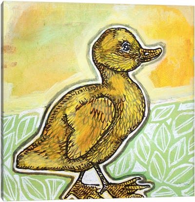 Not An Ugly Duckling Canvas Art Print - Lynnette Shelley