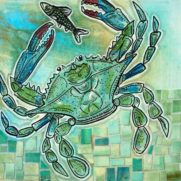 Crabs: A Little Crabby And Blue Too by Lynnette Shelley