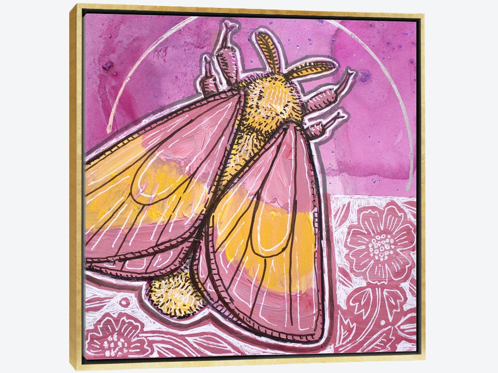 Framed Canvas Art - Jewel Moths - Rosy Maple Moth by Ffion Evans (styles > Digital art) - 26x26 in