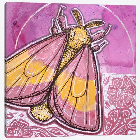 Rosy Maple Moth Canvas Print #LSH610} by Lynnette Shelley Canvas Art