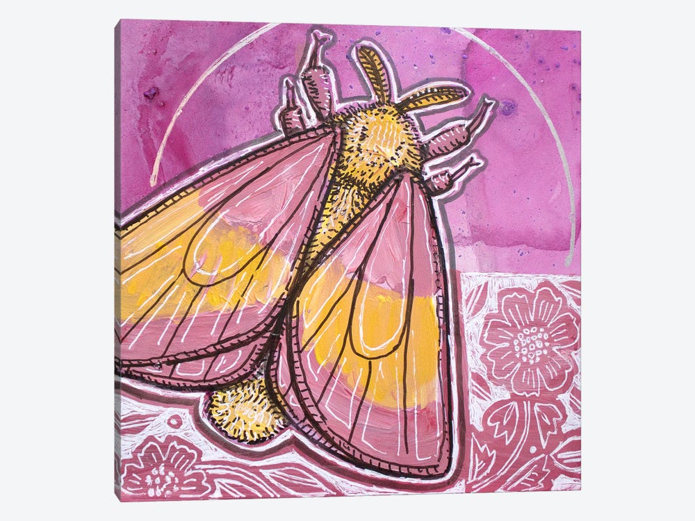 Rosy Maple Moth by Lynnette Shelley 1-piece Canvas Wall Art