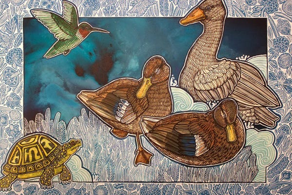 Turtles: Dreaming Ducks by Lynnette Shelley
