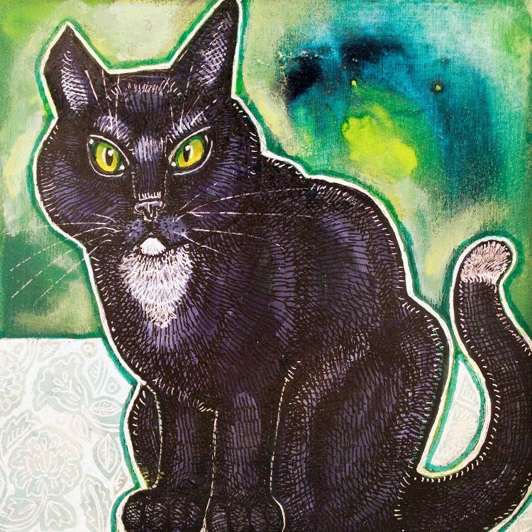 Stray Cat by Lynnette Shelley wall art