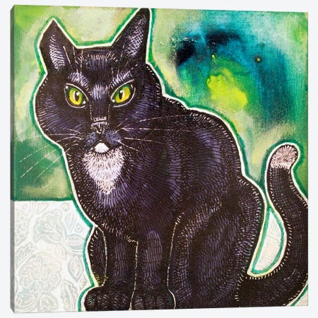 Stray Cat Canvas Print #LSH617} by Lynnette Shelley Art Print