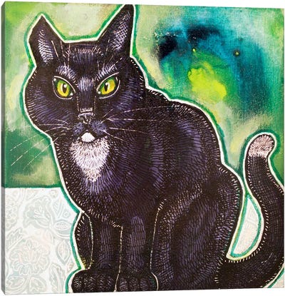 Stray Cat Canvas Art Print - Lynnette Shelley