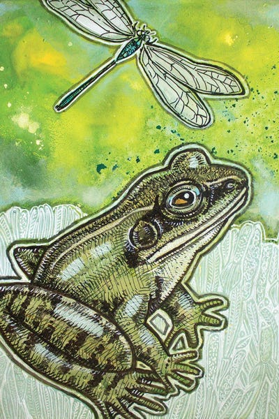 Frogs: A Little Green by Lynnette Shelley