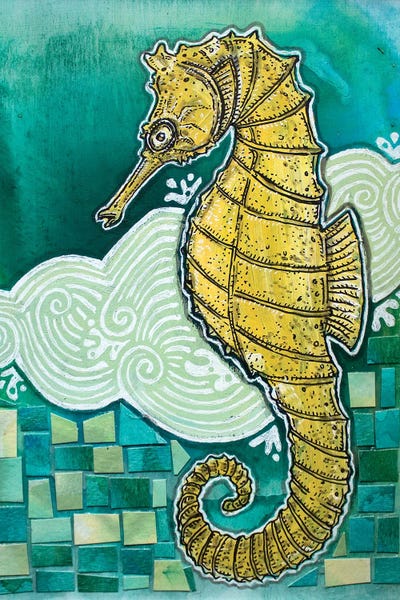 Seahorses: Shy Seahorse by Lynnette Shelley