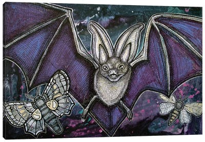 Night Fliers Canvas Art Print - Bat Art