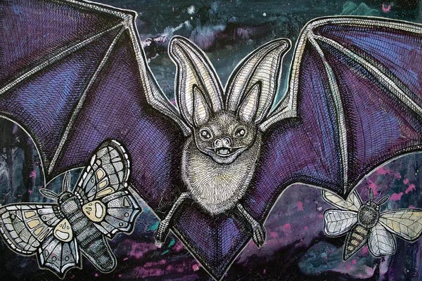 Bats: Night Fliers by Lynnette Shelley