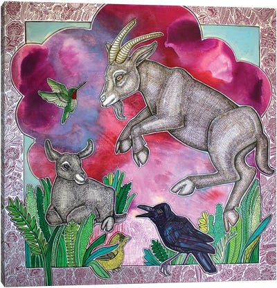 Jumping Goat Canvas Art Print - Lynnette Shelley
