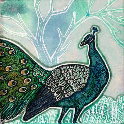 Peacock Of The Walk by Lynnette Shelley framed wall art