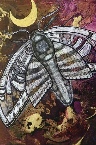 Moths: Nightflight by Lynnette Shelley