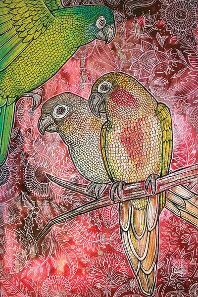 Parrots: Paradiso by Lynnette Shelley