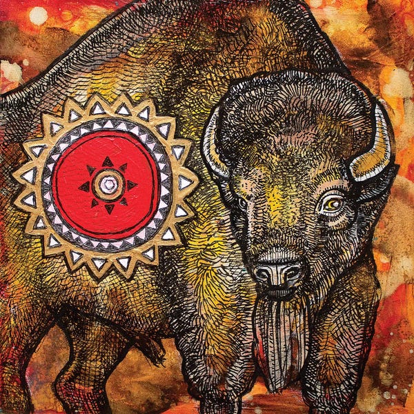 Bison & Buffaloes: American Bison by Lynnette Shelley