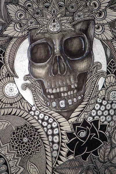 Relic by Lynnette Shelley framed canvas print