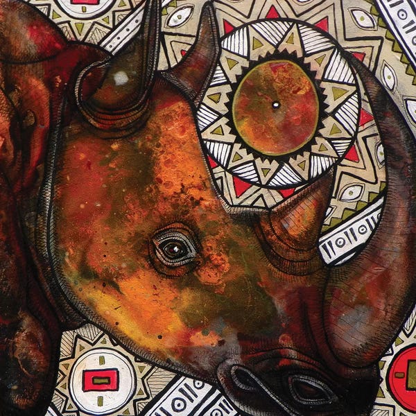 Rhinoceroses: Remember The Rhino by Lynnette Shelley