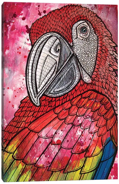 Scarlet Macaw Canvas Art Print - Lynnette Shelley