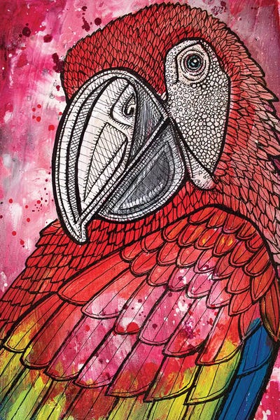 Macaws: Scarlet Macaw by Lynnette Shelley