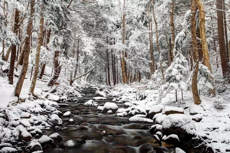 Stream In Winter, Nova Scotia, Canada - Horizontal