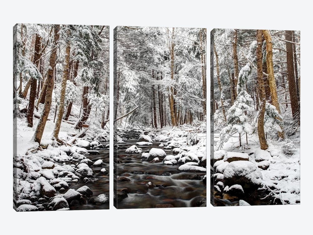 Stream In Winter, Nova Scotia, Canada - Horizontal by Scott Leslie 3-piece Canvas Wall Art