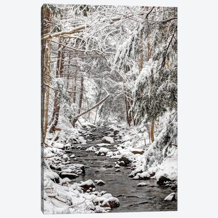 Stream In Winter, Nova Scotia, Canada - Vertical Canvas Print #LSL14} by Scott Leslie Canvas Print